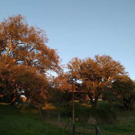 Cercado Forero Cortegana Exteriér fotografie